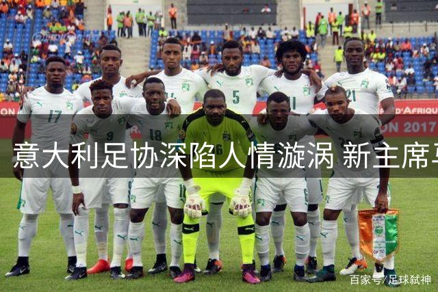 意大利足协深陷人情漩涡 新主席马拉戈遭遇执政危机